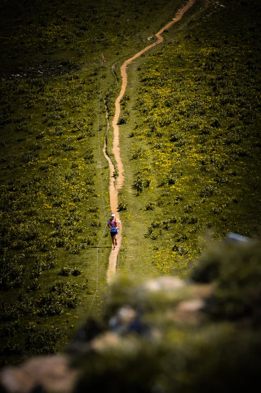 Un coureur suit un long sentier sinueux dans une prairie de montagne.